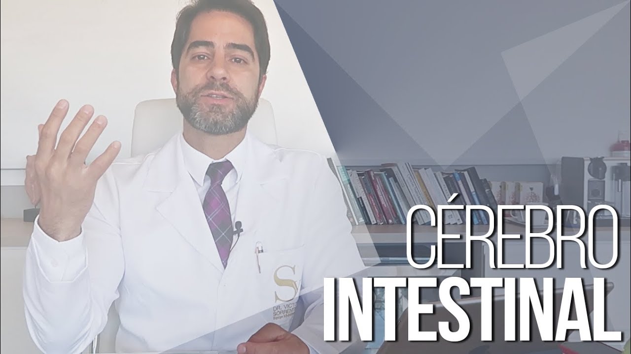 INTESTINO, CONSTIPAÇÃO E PROBIÓTICOS