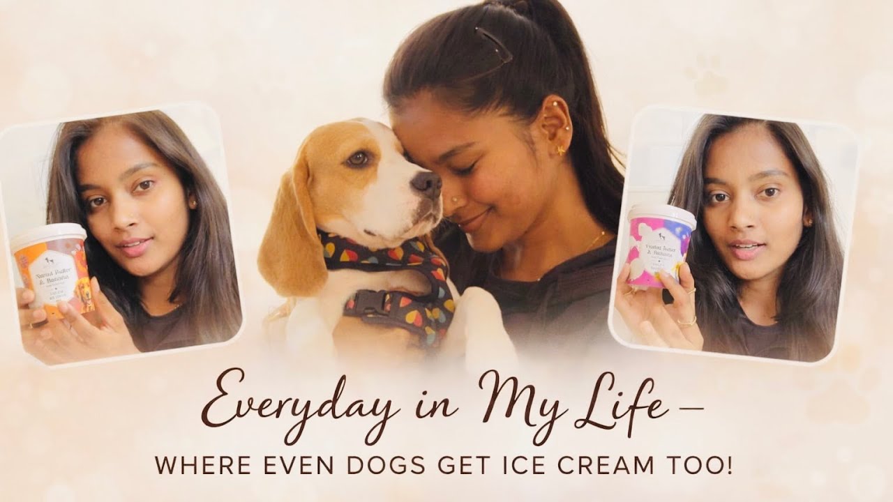 ಡಾಗ್ food ಬೆಲೆ ಕೇಳಿ shock ಆಯ್ತು😱| ಒಂದು pet ge ಎಷ್ಟು ತರ accessories ಇದೆ ಅಂತ ನಿಮಗೆ ಗೊತ್ತಾ...?