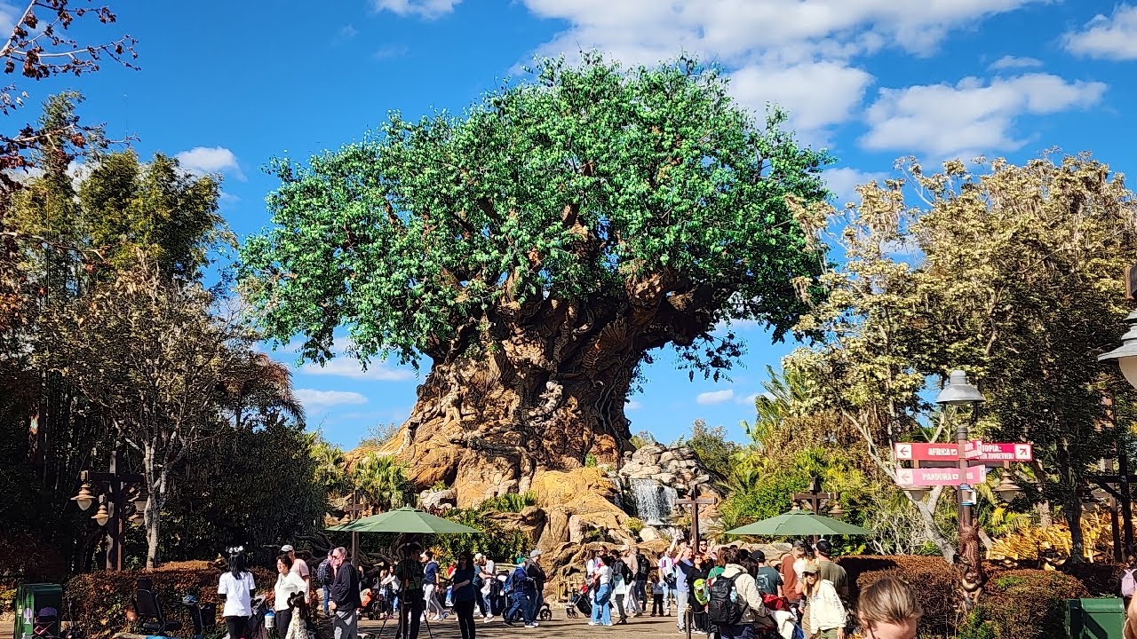 🔴 LIVE: Disney's Animal Kingdom |  Is This Park Worth Coming To Now? ... 2/4/26