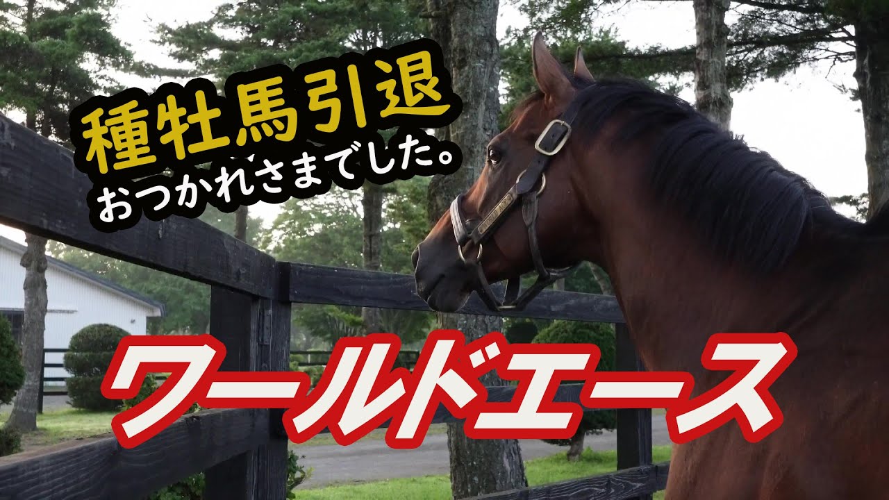 ワールドエース～種牡馬引退