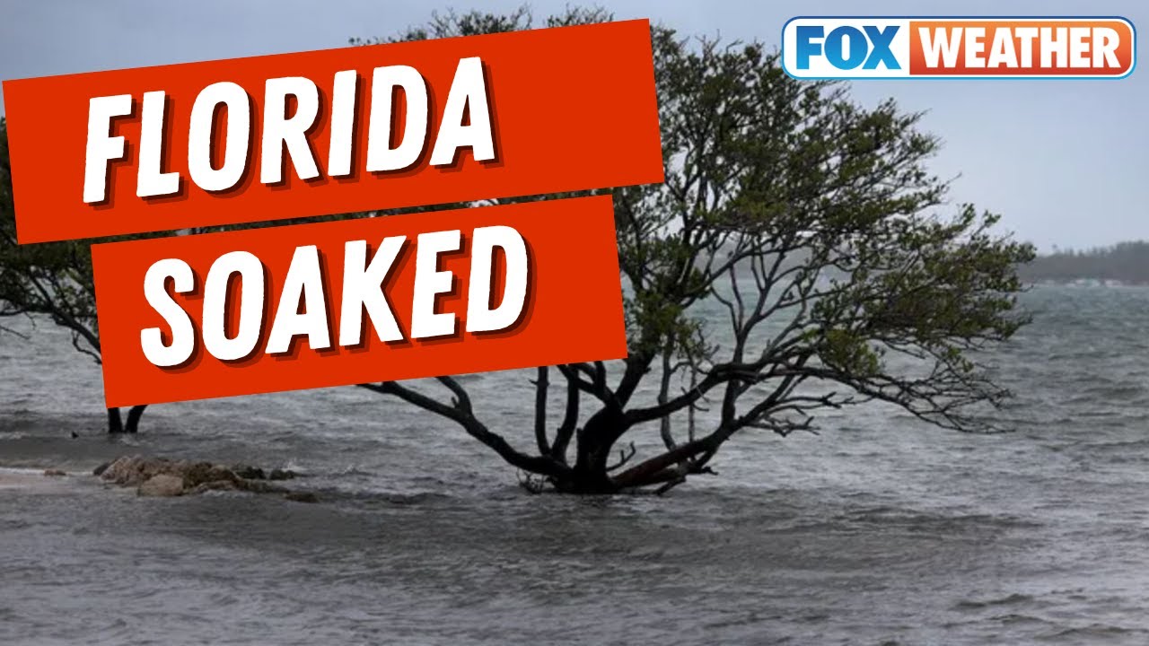 High Winds, Flooding Rain Leave Over 100,000 Without Power In South Florida On Thursday