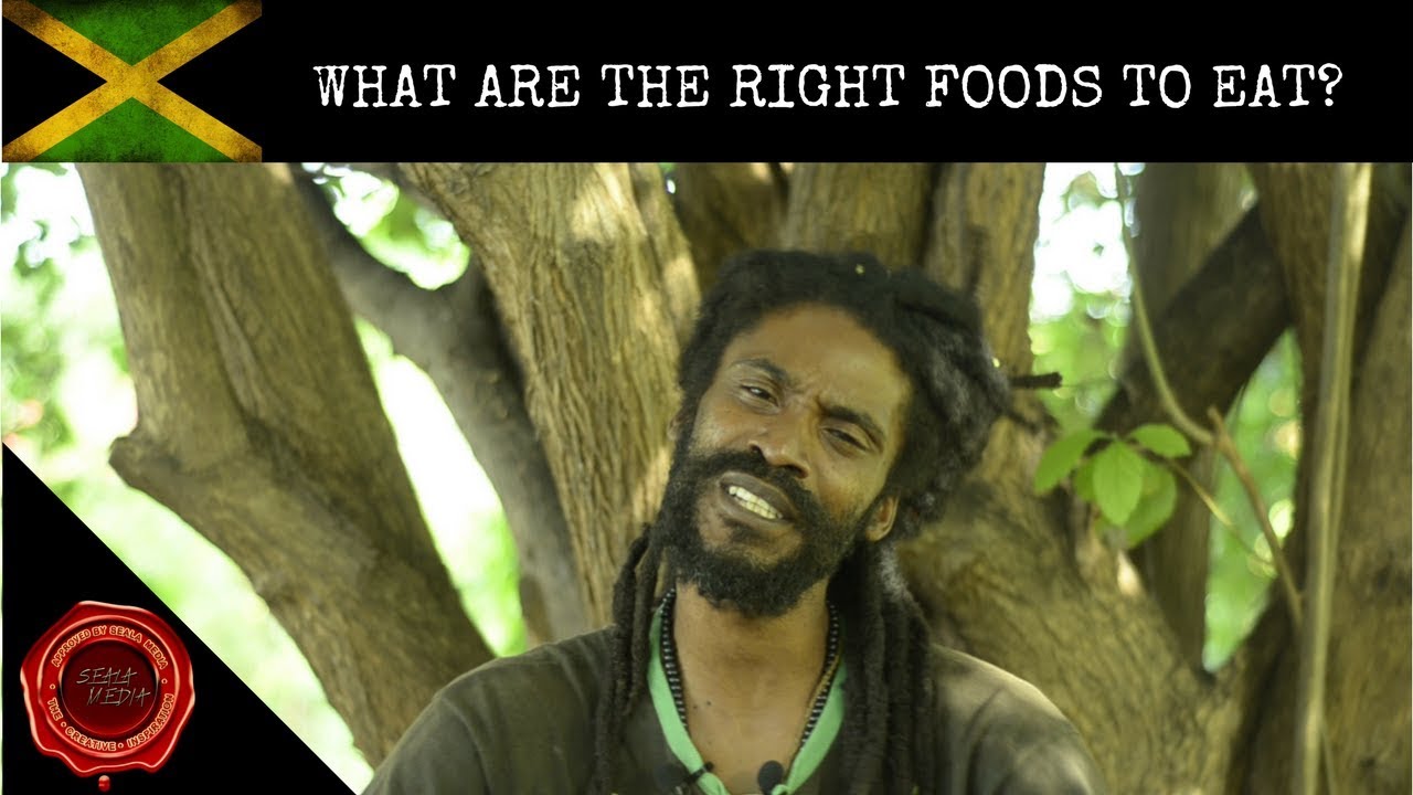 RASTA MAN REASONING ON WHAT ARE THE RIGHT FOODS TO CONSUME?