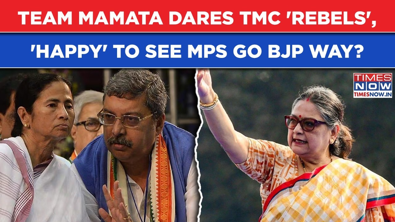 Mamata Loyalist Dares Kakoli's 'Rebel TMC': 'Happy' Kalyan Banerjee Tells MPs This As Azad Asks...