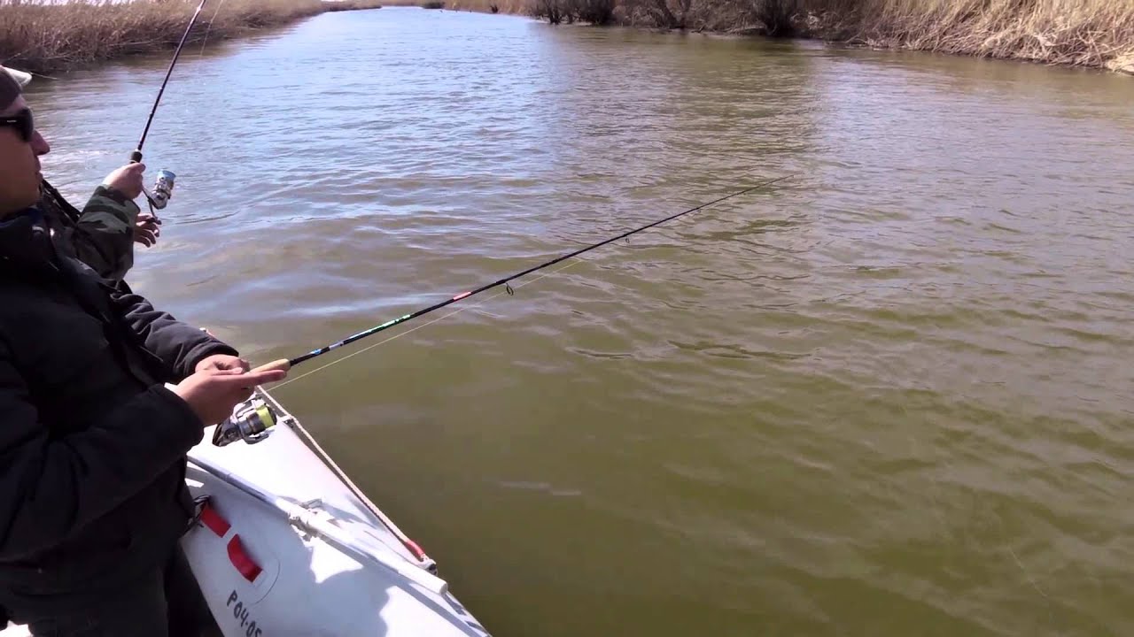 BassPara