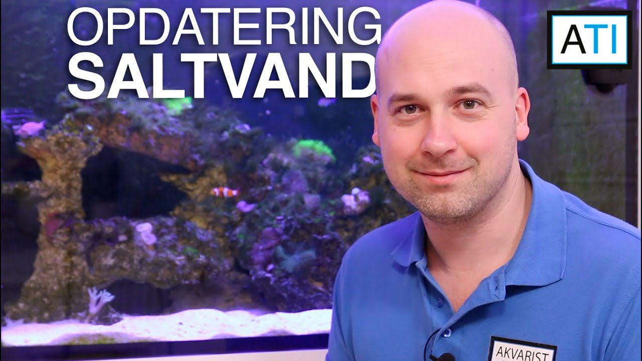 Opdatering af saltvands akvarie (Saltvand 330 liter, del 10)