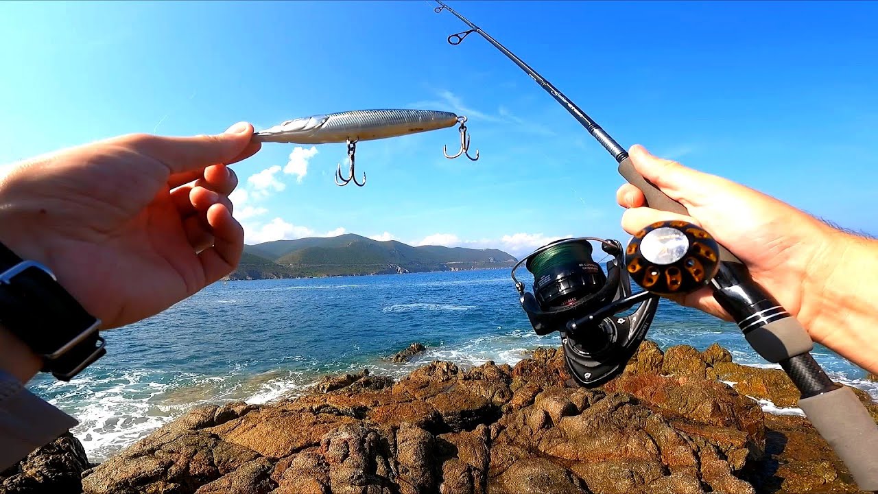 Shore Fishing CORSICA - Seabass attack !