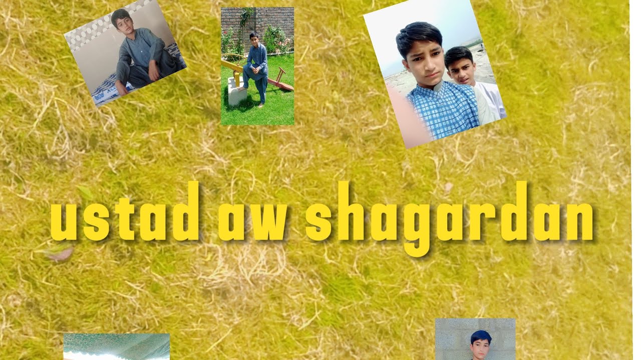agrezi pa chakar ki ye waal okharo ostaz aw shagardan funny video