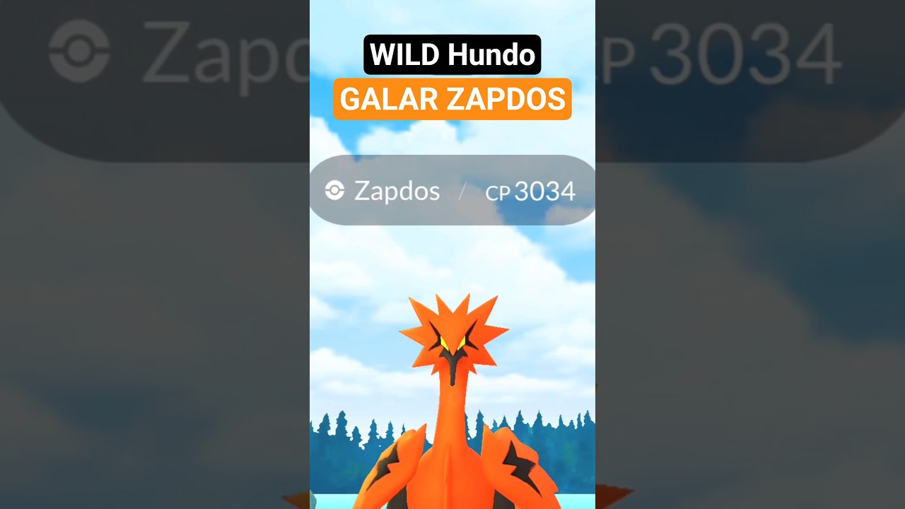 Unbelievable 😳 Catch Wild Almost Hundo Galarian Zapdos