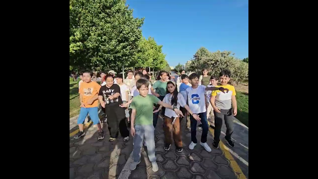5b zire gezinti