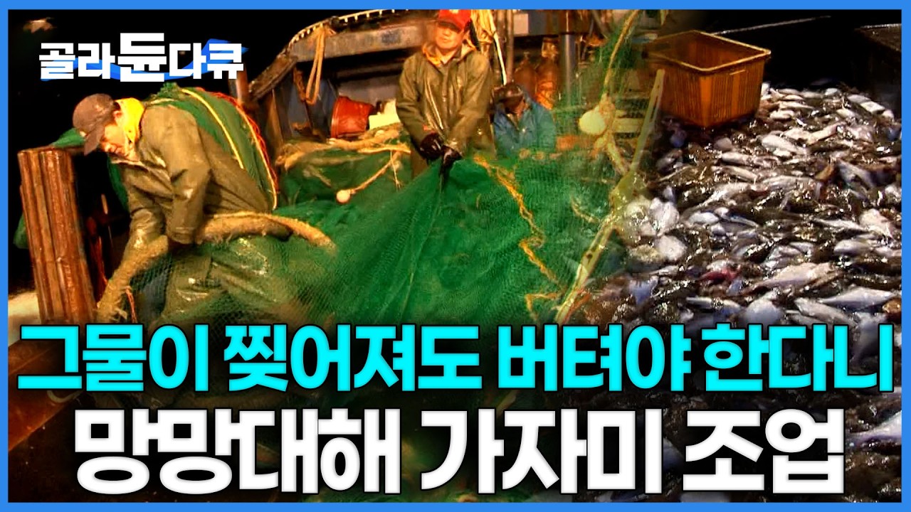 1,800미터 로프에 발 걸리면 끌려 들어간다. 베테랑 선원들도 긴장하는 동해 가자미 잡이｜극한직업｜#골라듄다큐