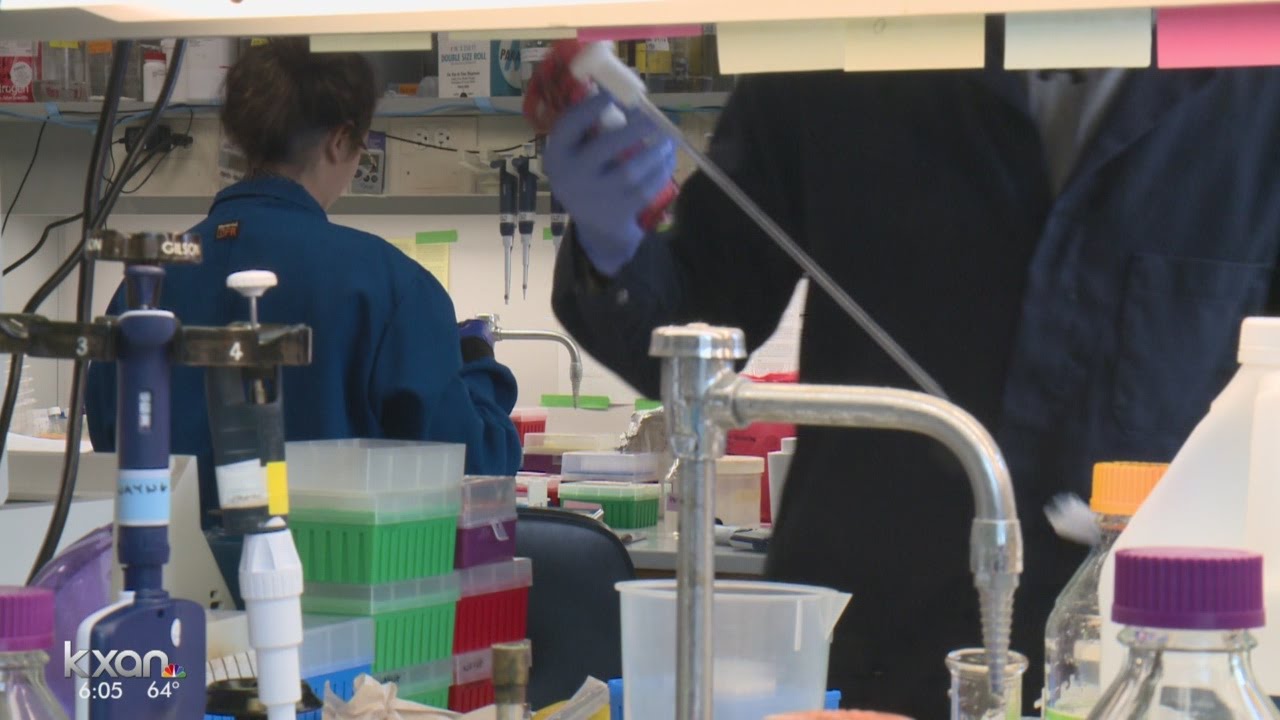 Breakthrough research at UT starves cancer cells