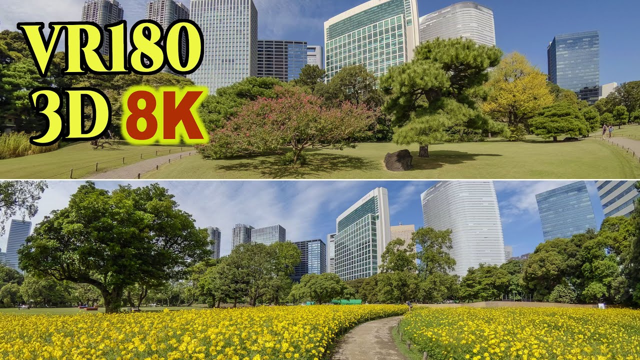 [ 8K 3D VR180 ] 夏の終わりの浜離宮恩賜庭園（東京都中央区）