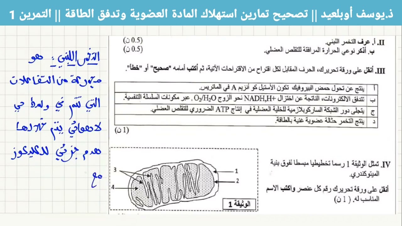 تمارين وحدة استهلاك المادة العضوية وتدفق الطاقة