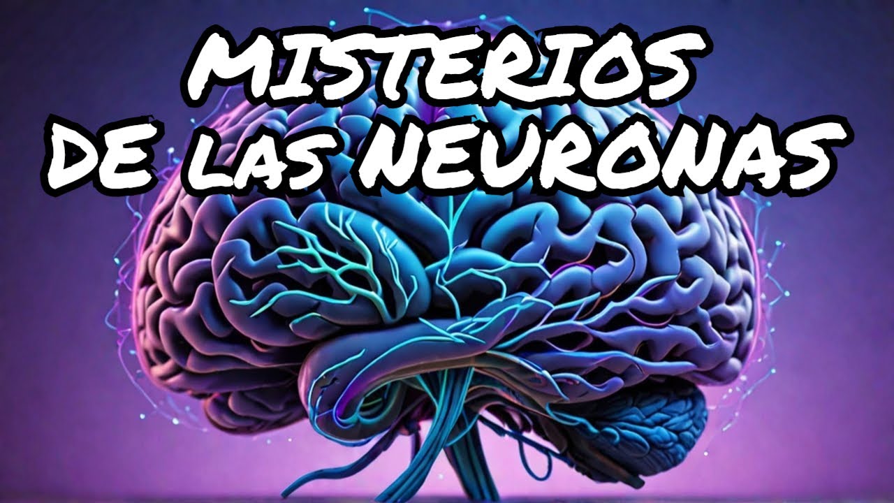🧠 Las Neuronas: C&oacute;mo Tu Cerebro Procesa Millones de Datos por Segundo + 20 Secretos Fascinantes