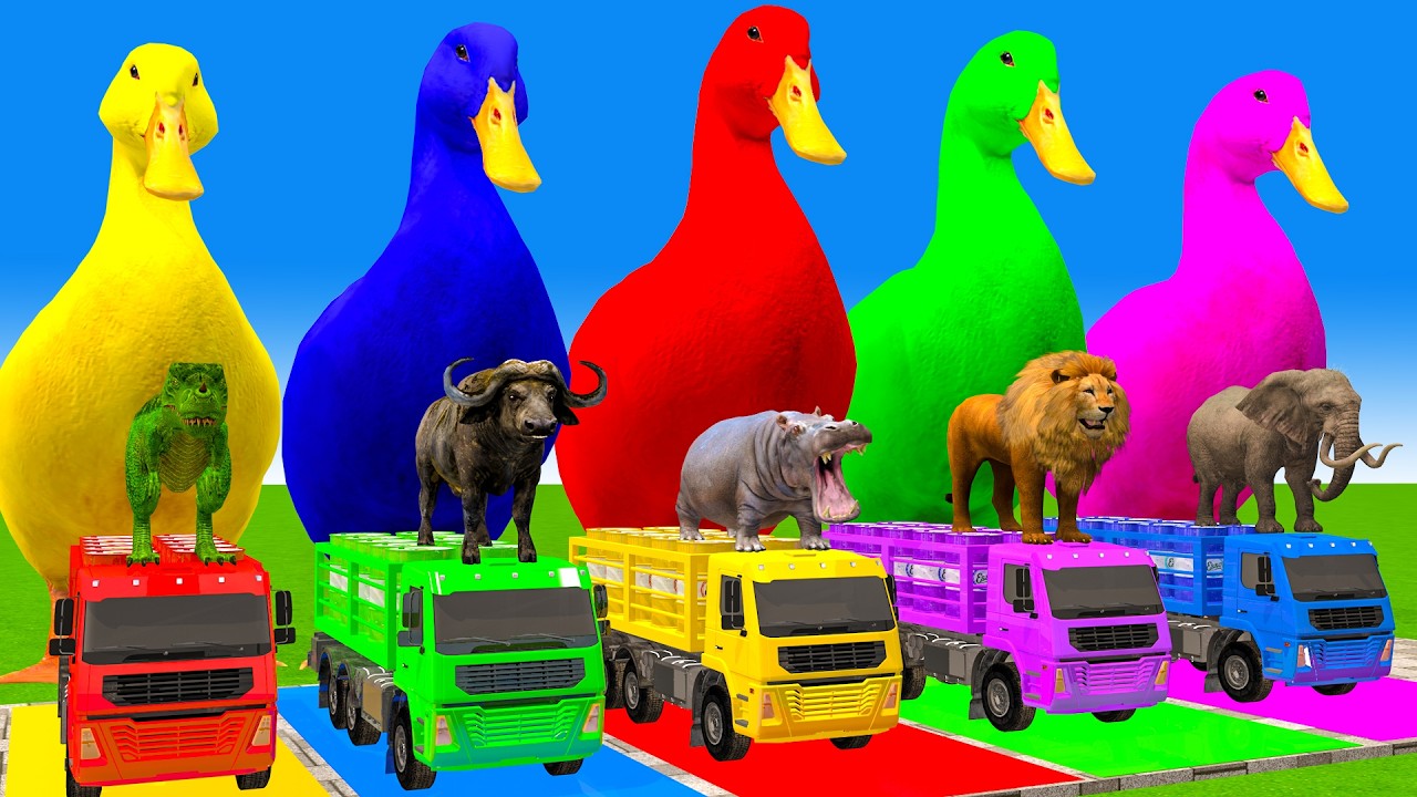 5 Giant Duck Cartoon,Cow,Elephant,Tiger,Lion,Dinosaur,Paint Wild Animals Crossing Fountain Animation