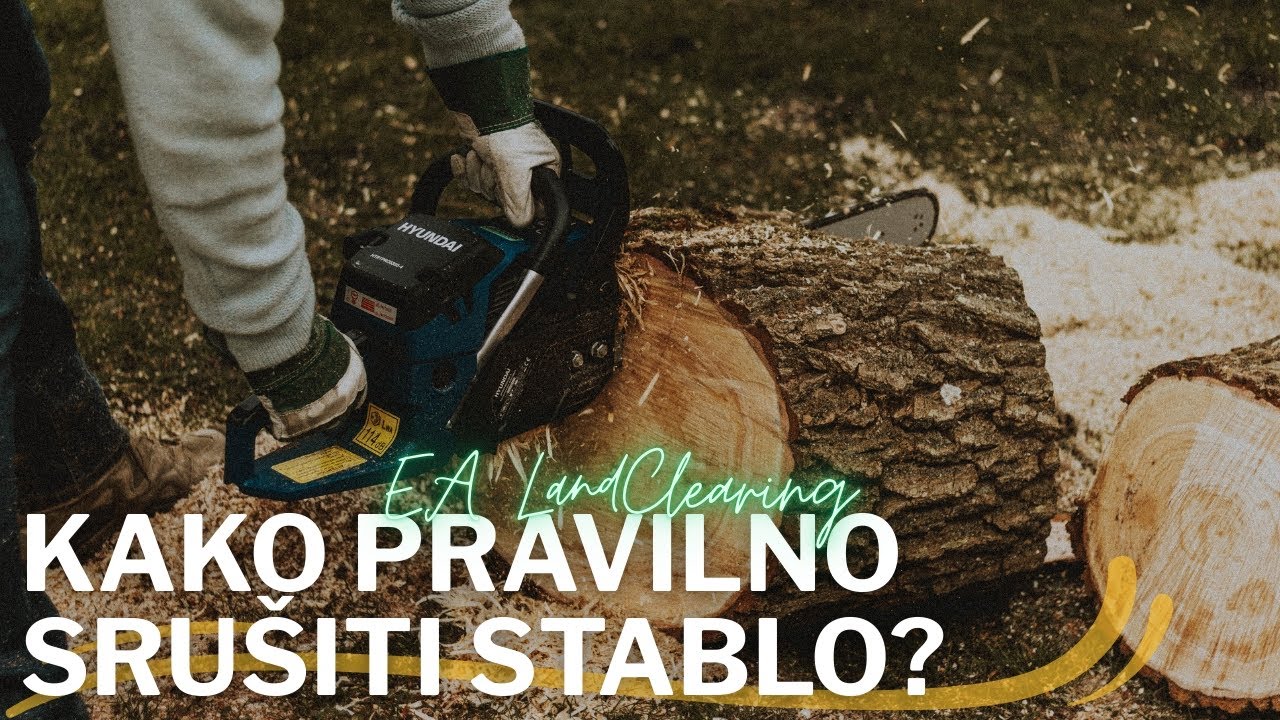 Kako Sigurno Posjeći i Srušiti Stablo – Vodič za Početnike 🪓🌲