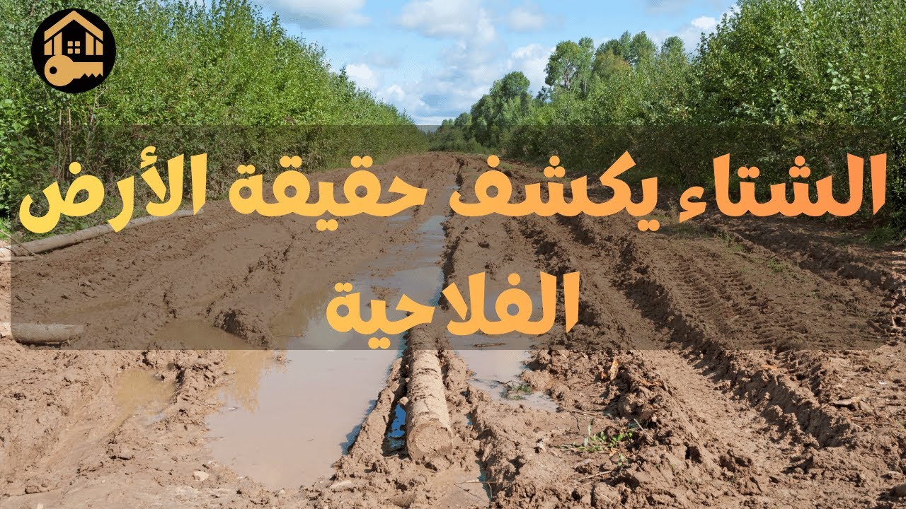  الأمطار الغزيرة فرصة لمعرفة عيوب الأرض الفلاحية قبل الشراء 