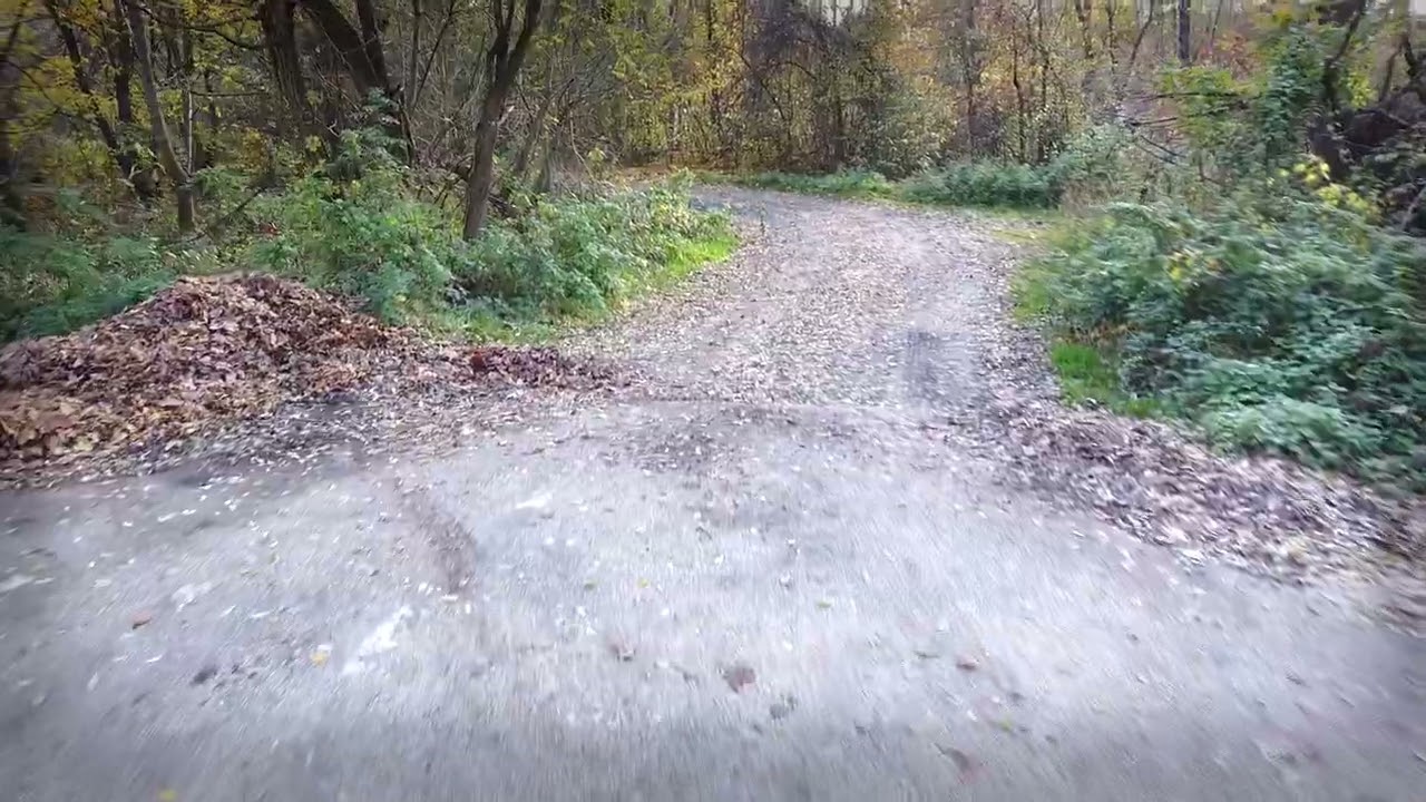 Vadkert körút 2021 2023