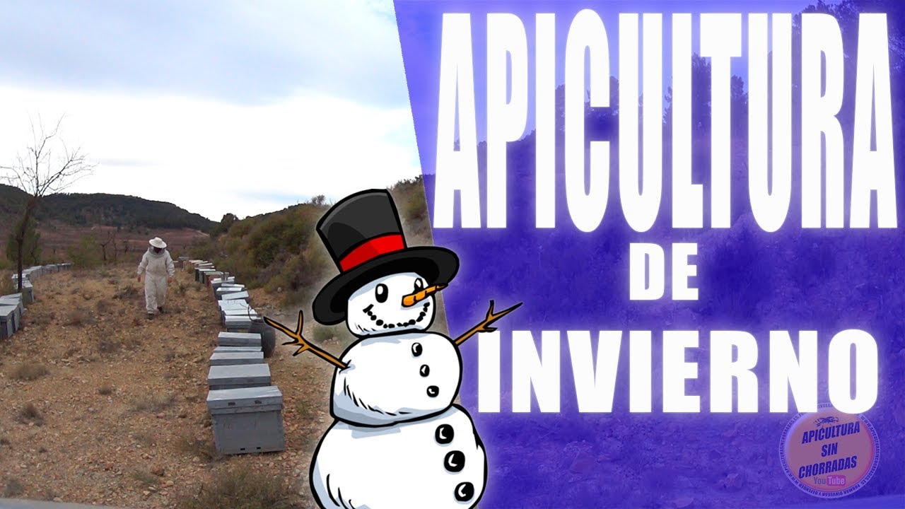 APICULTURA PARA PRINCIPIANTES, 3 CONSEJOS BÁSICOS PARA EL INVIERNO