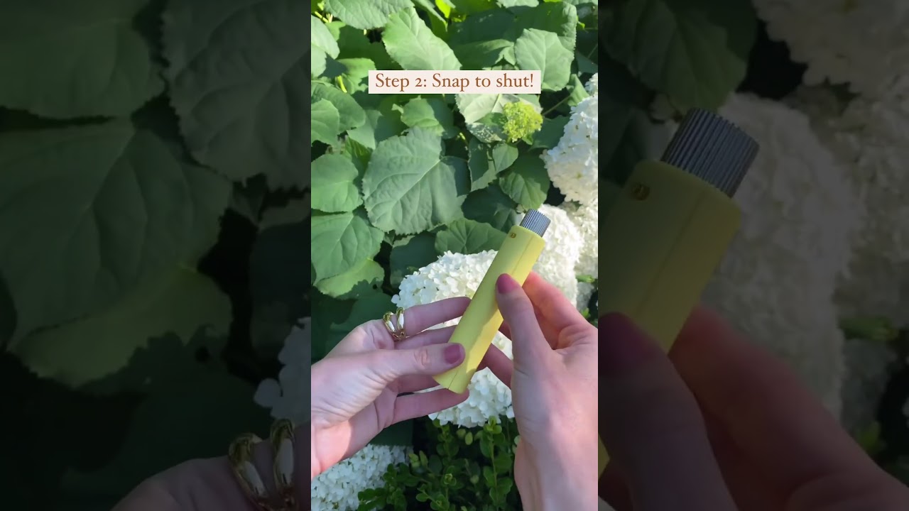 Scentbird Fragrance Subscription Unlocked