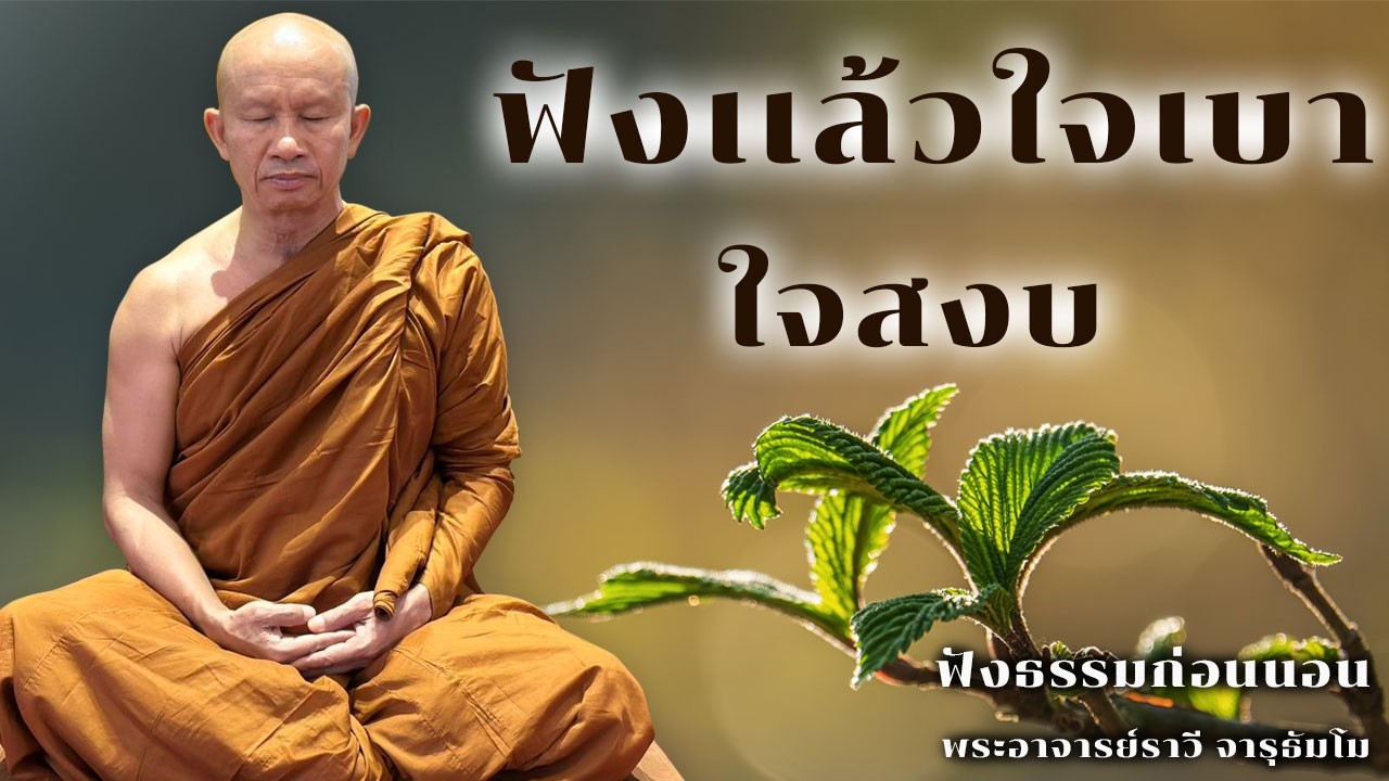 ฟังเเล้วใจเบาใจสงบ | ฟังธรรมก่อนนอน