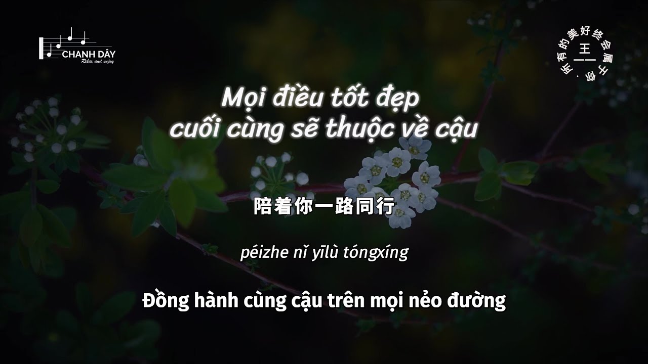 [Vietsub] Mọi điều tốt đẹp cuối cùng sẽ thuộc về cậu (所有的美好终会属于你) - Vương Nhất Nhất (王一一)