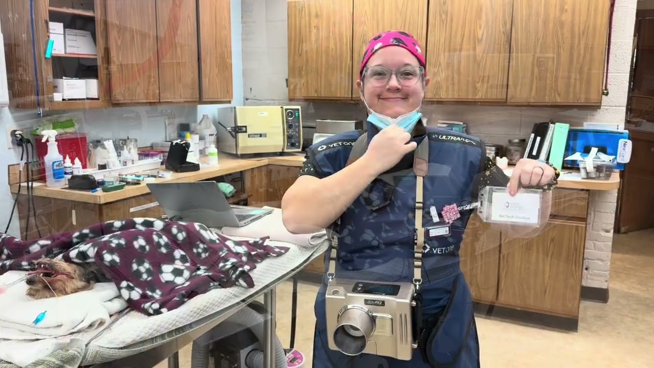 Skill 14 Dental Radiographs 