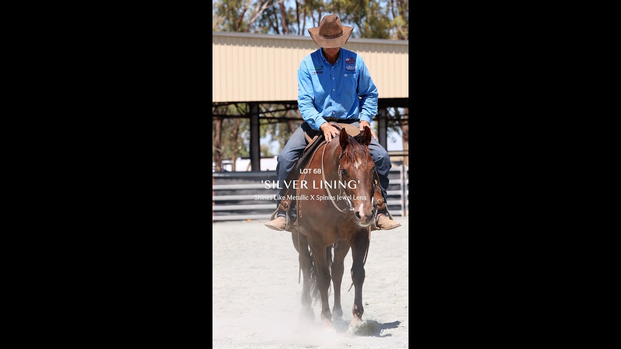 𝗟𝗢𝗧 𝟔𝟖 𝗦𝗜𝗟𝗩𝗘𝗥 𝗟𝗜𝗡𝗜𝗡𝗚 - 𝐍𝐮𝐭𝐫𝐢𝐞𝐧 𝐂𝐥𝐚𝐬𝐬𝐢𝐜 𝐒𝐚𝐥𝐞 𝟐𝟎𝟐𝟔