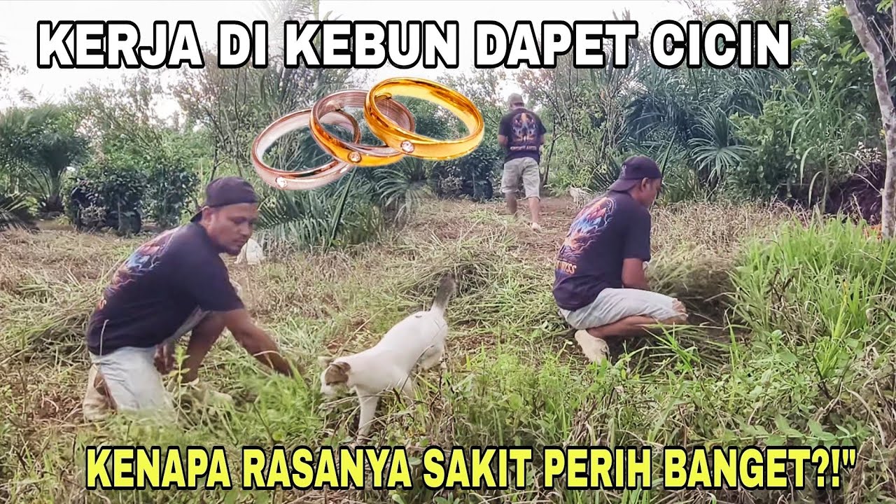 KERJA DI KEBUN DAPET CICIN || KENAPA RASANYA SAKIT PERIH BANGET?!