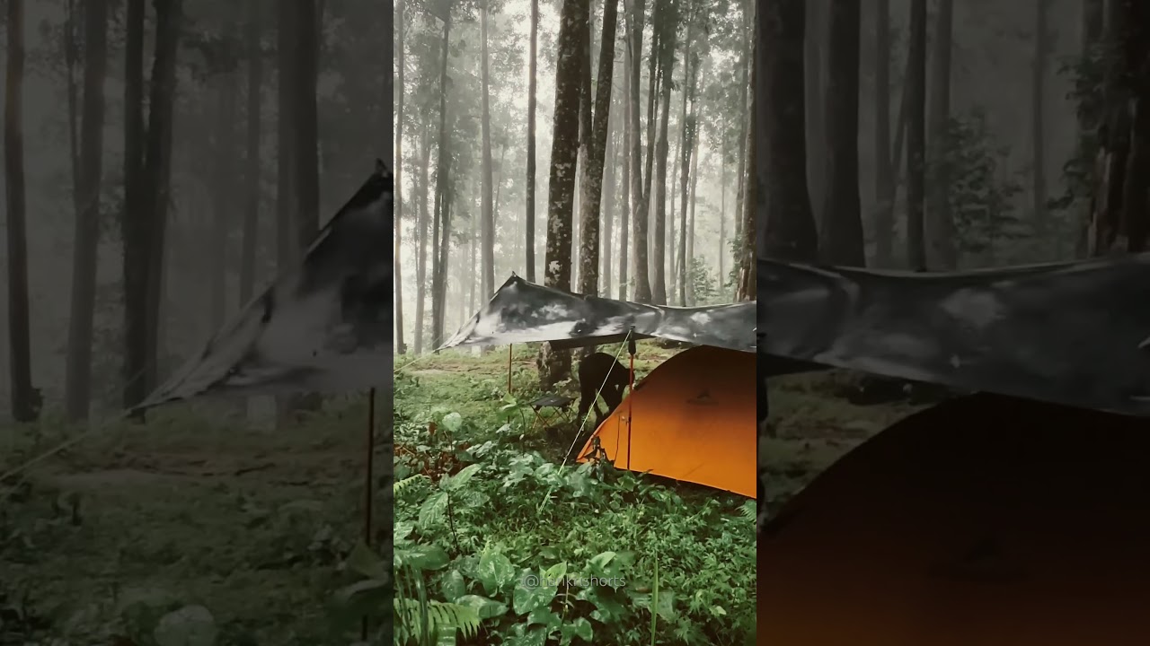 HEAVY RAIN CAMPING #shorts