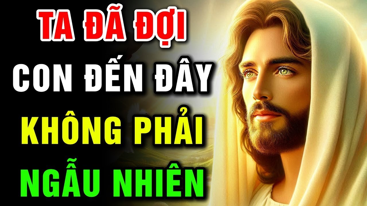 🔴 TA ĐÃ ĐỢI CON ĐẾN ĐÂY – KHÔNG PHẢI NGẪU NHIÊN | Lời Chúa Hôm Nay