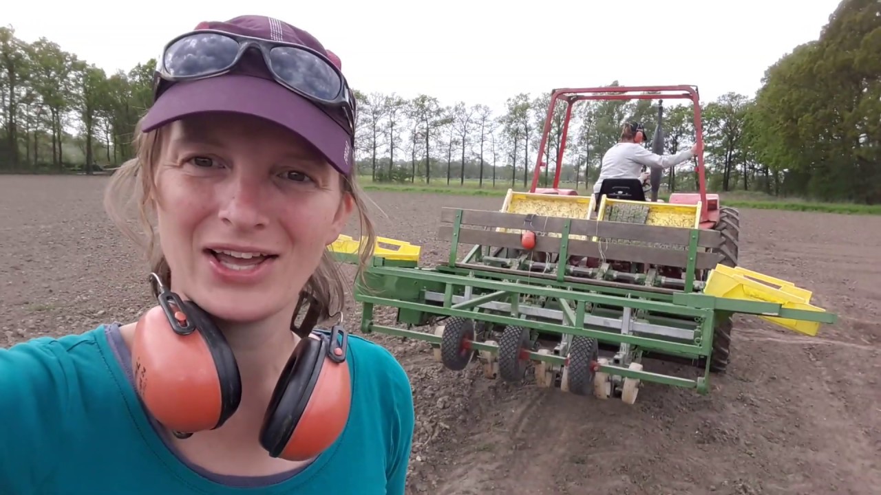 Zaaien, schoffelen, planten en de eerste oogst
