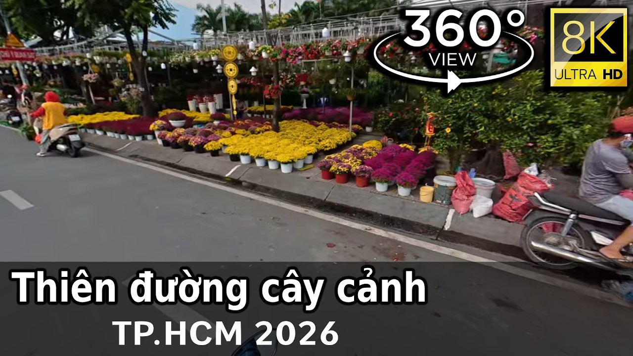 Thiên đường cây cảnh  (trước Tết) Thành Thái, TP.HCM 2026 | 8K VR 360 Street View.