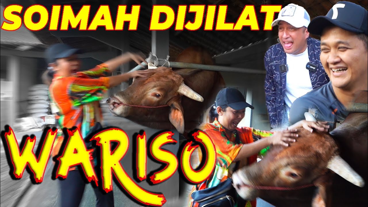 PERTAMA KALI SOIMAH KETEMU WARISO.... ⎮ 