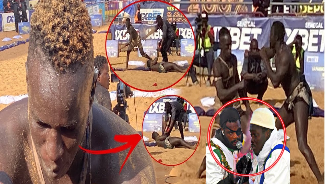 🚨Bou siteu dorna fils de tigre mou danou😱defie liss ndiago et diop2 kousi dann lay beurél😂…..
