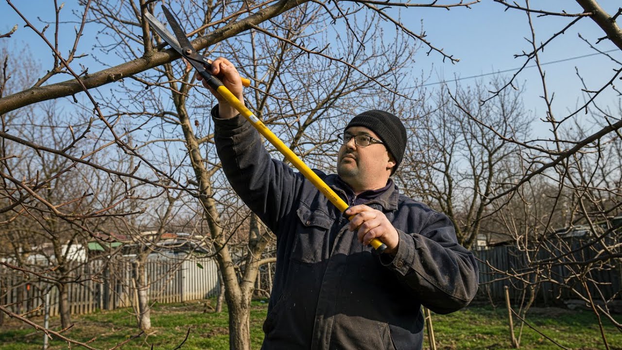 Remote Village Life | Spring Pruning in the Apple Orchard