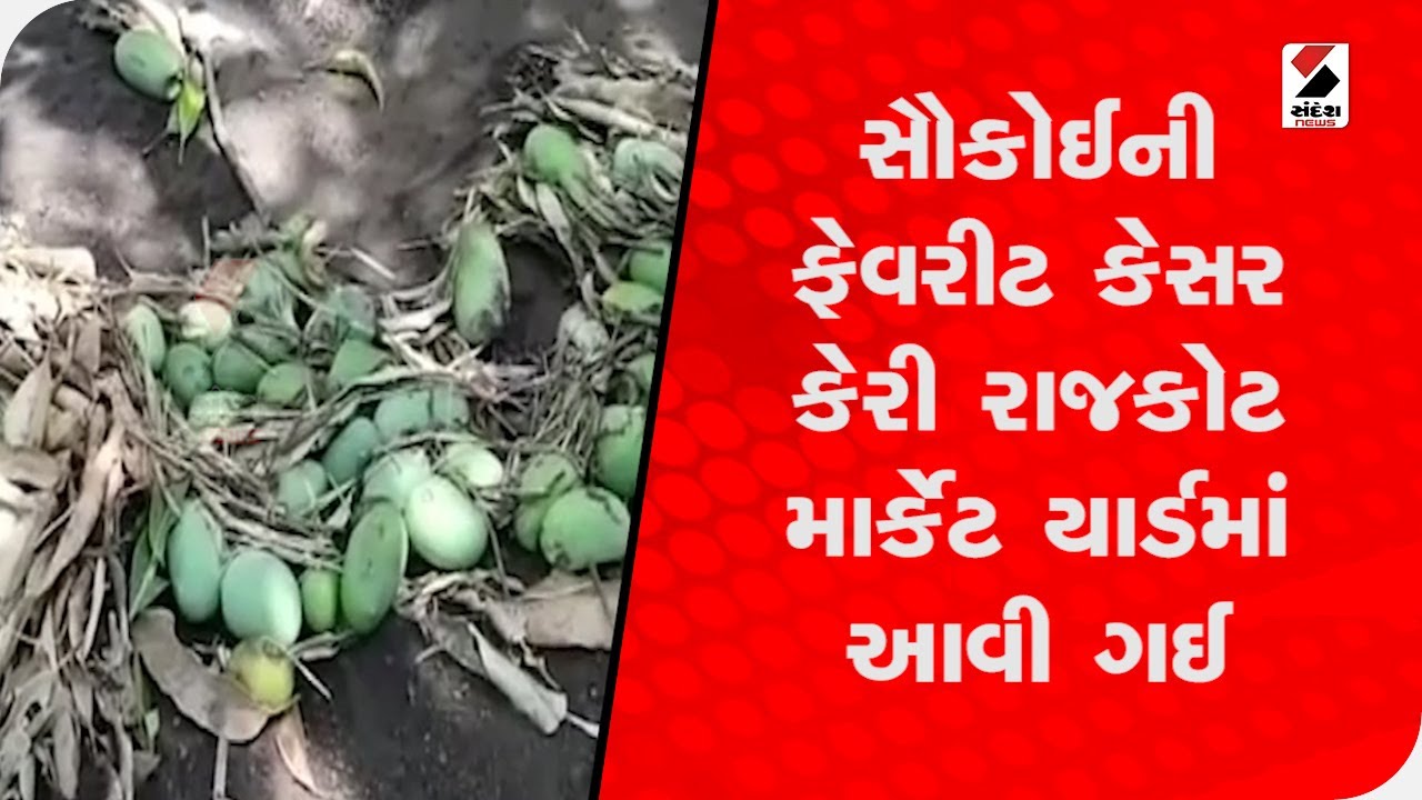 Rajkot : કેસર કેરીના ભાવમાં થયો વધારો  @SandeshNewsTV