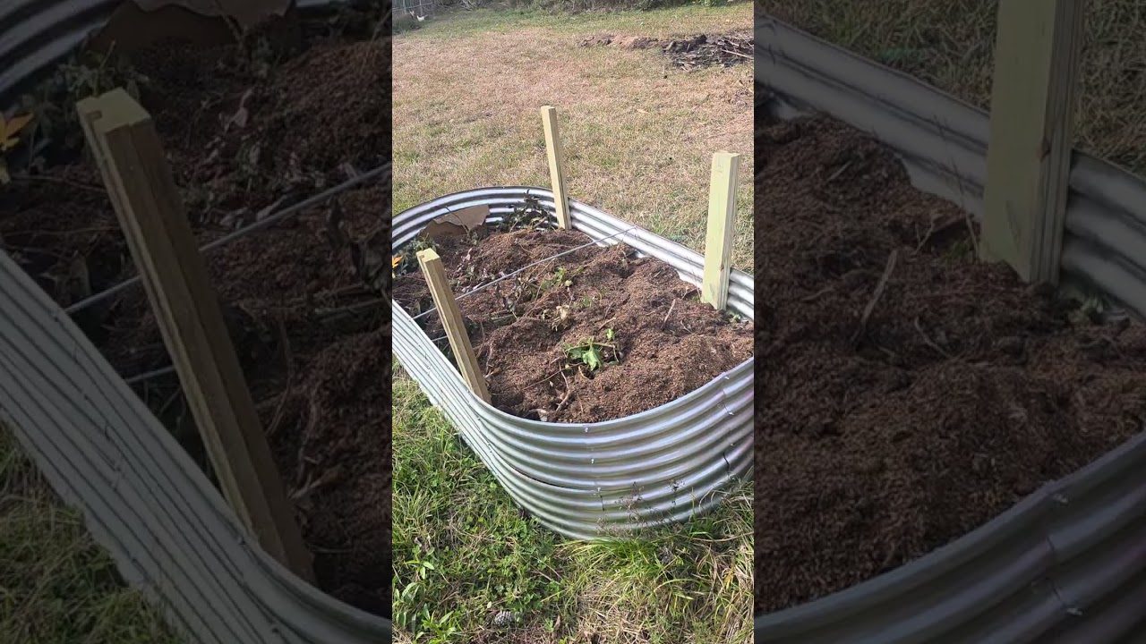 Filling  in the garden bed