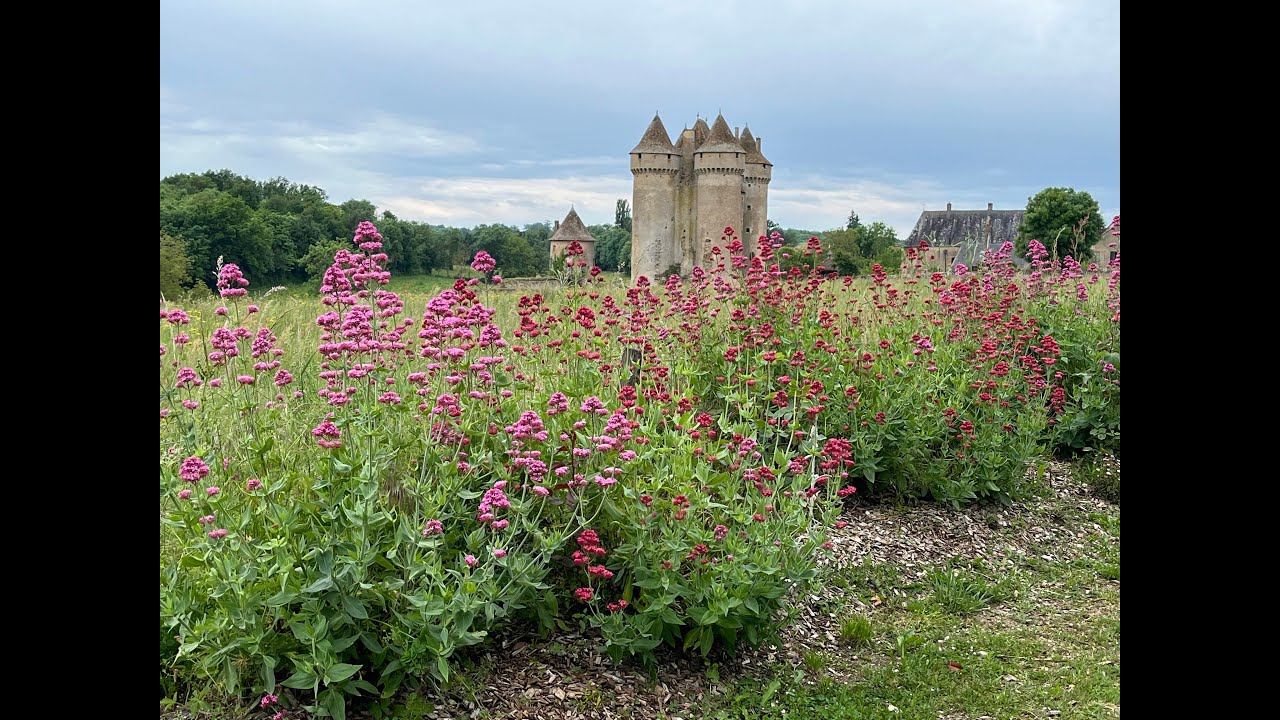 Chemin de Vézelay 2025