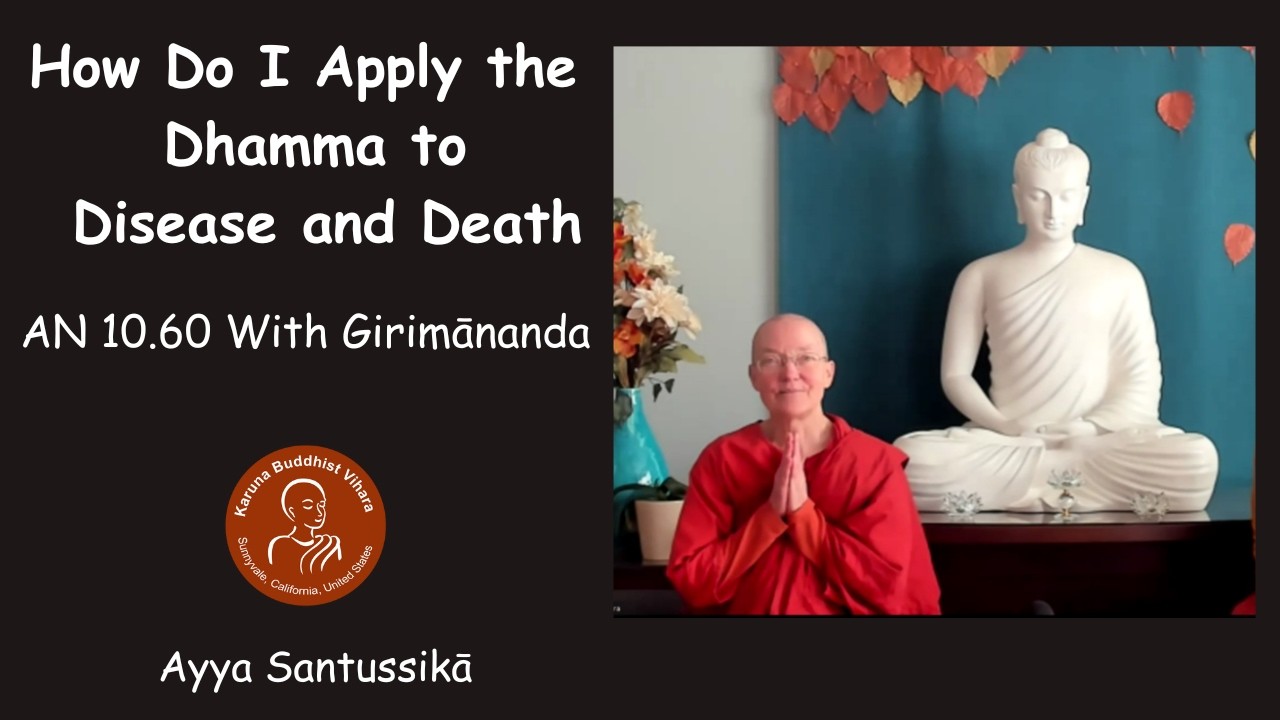 How Do I Apply Dhamma to Disease and Death AN 10.60 With Girimānanda | Ayya Santussikā