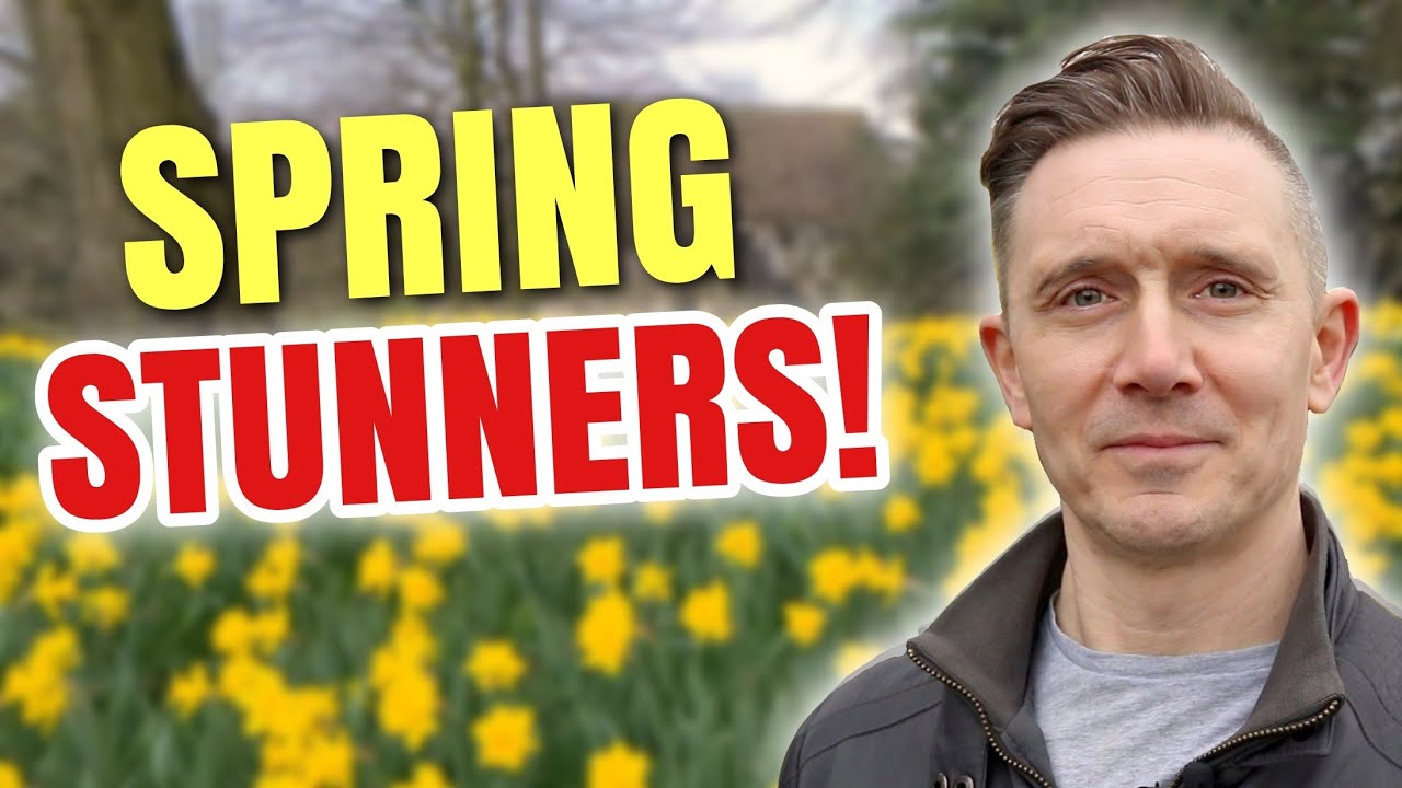 #bestcologne #fragmental TOP 10 💥 SPRING DESIGNER FRAGRANCES 🔥😍