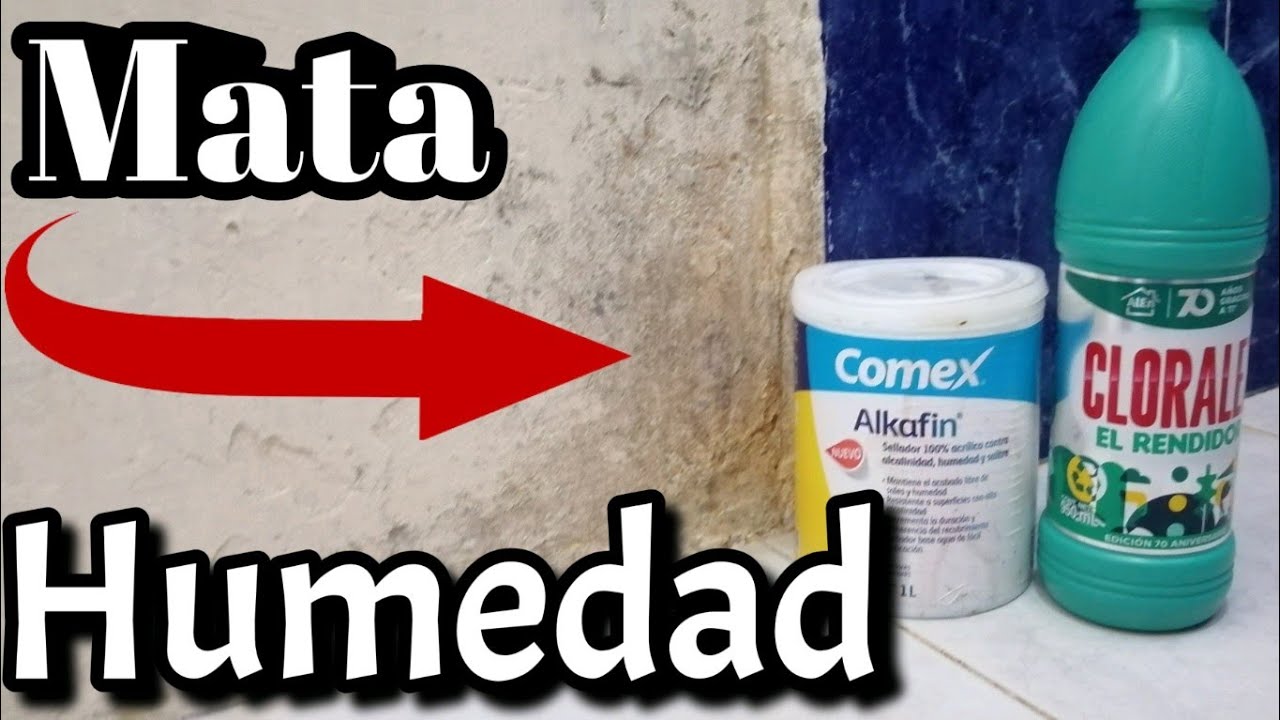 Como eliminar el salitre, hongo, humedad, de tu pared con ALKAFIN de comex