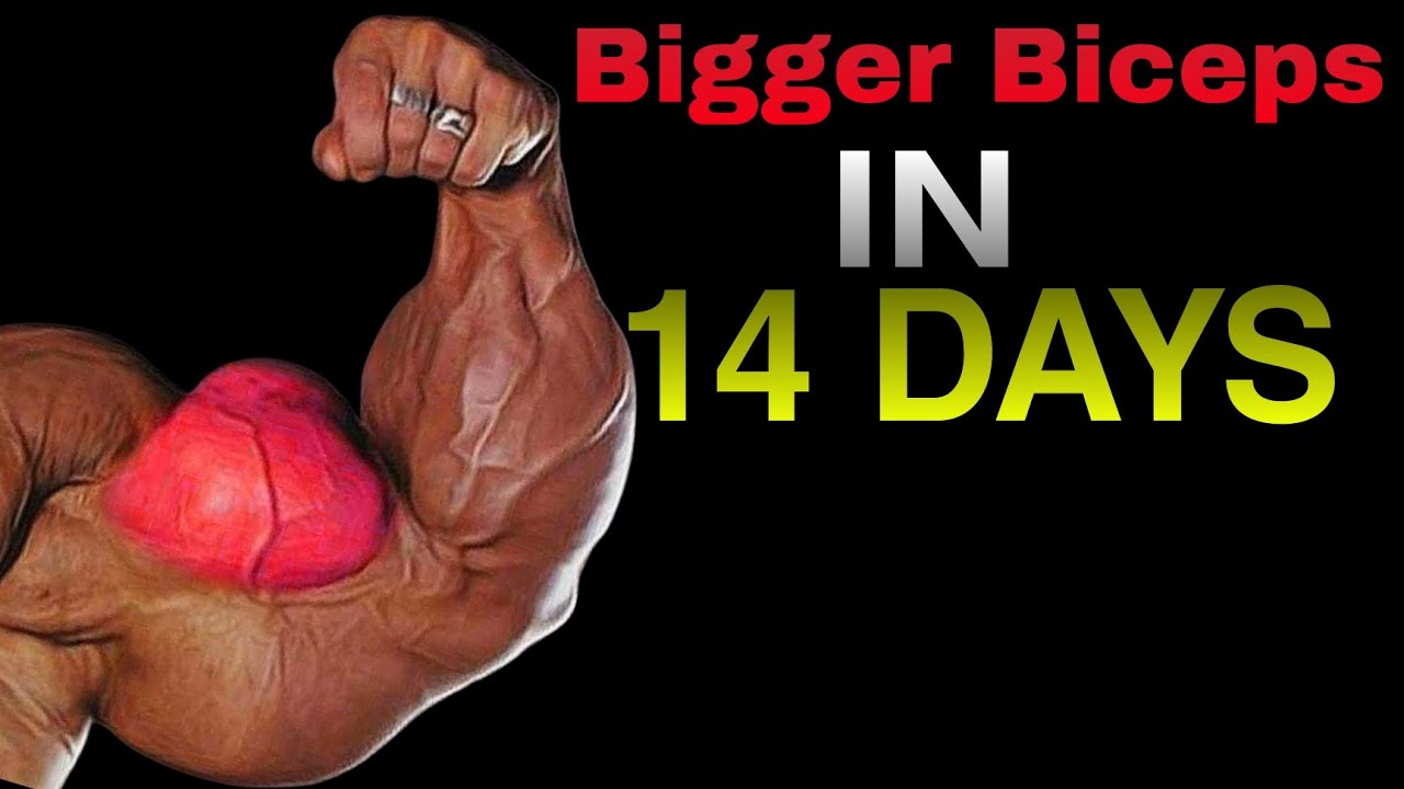 Bigger Biceps in 14 Days 💪 | 7 Mini Biceps Workouts