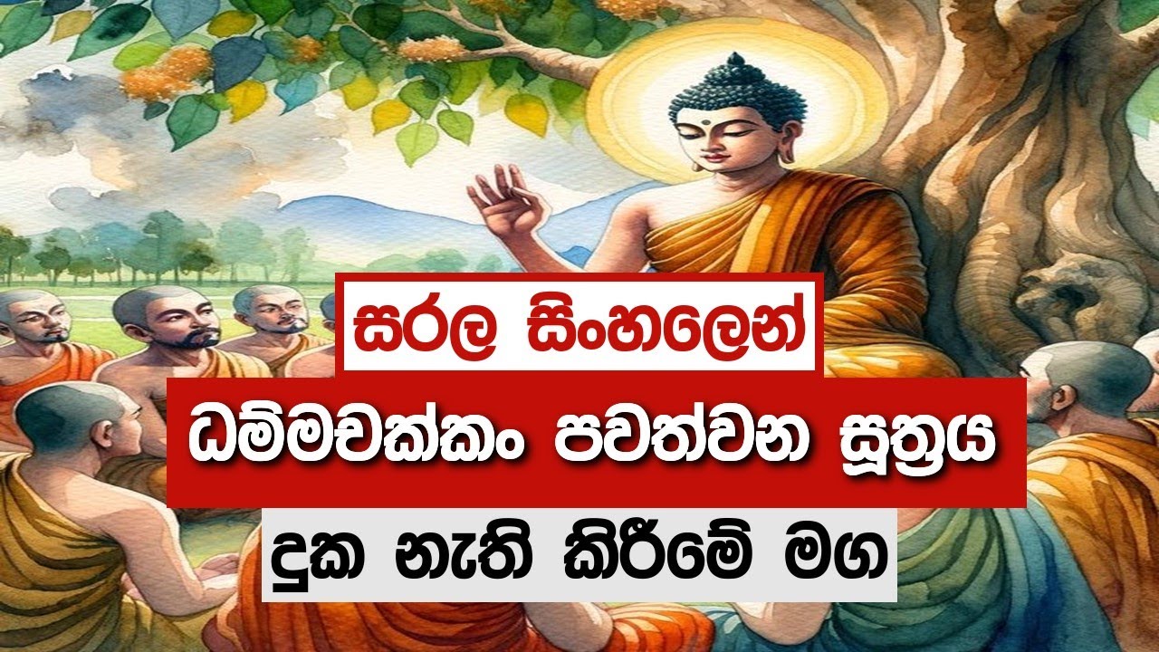 සරල සිංහලෙන් ධම්මචක්කං පවත්වන සූත්&zwj;රය @niwanmagabuduguna  #niwan #niwanmaga #buduguna #budubana