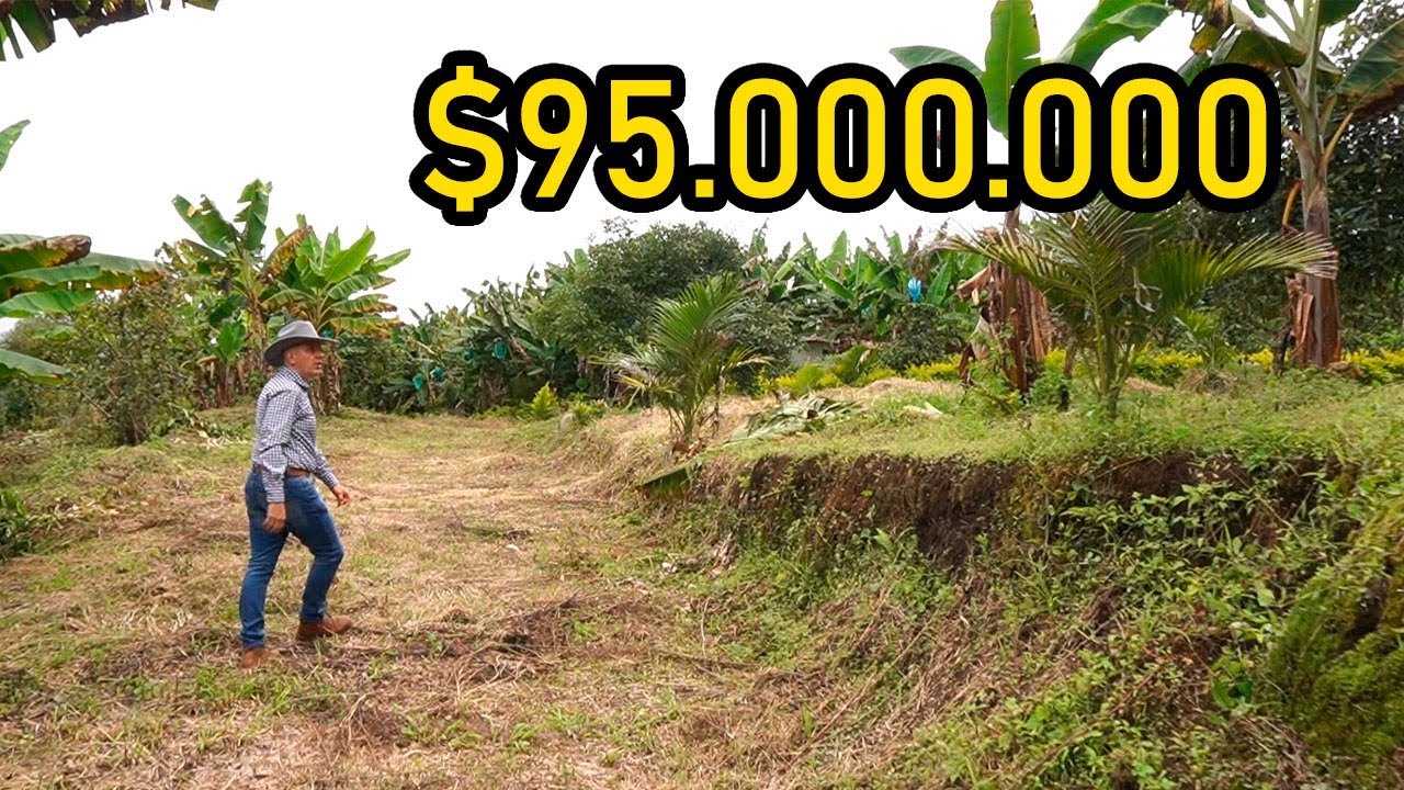 Lote BARATO en ANSERMA Caldas de 1267M2 con facilidad de PAGO 95M