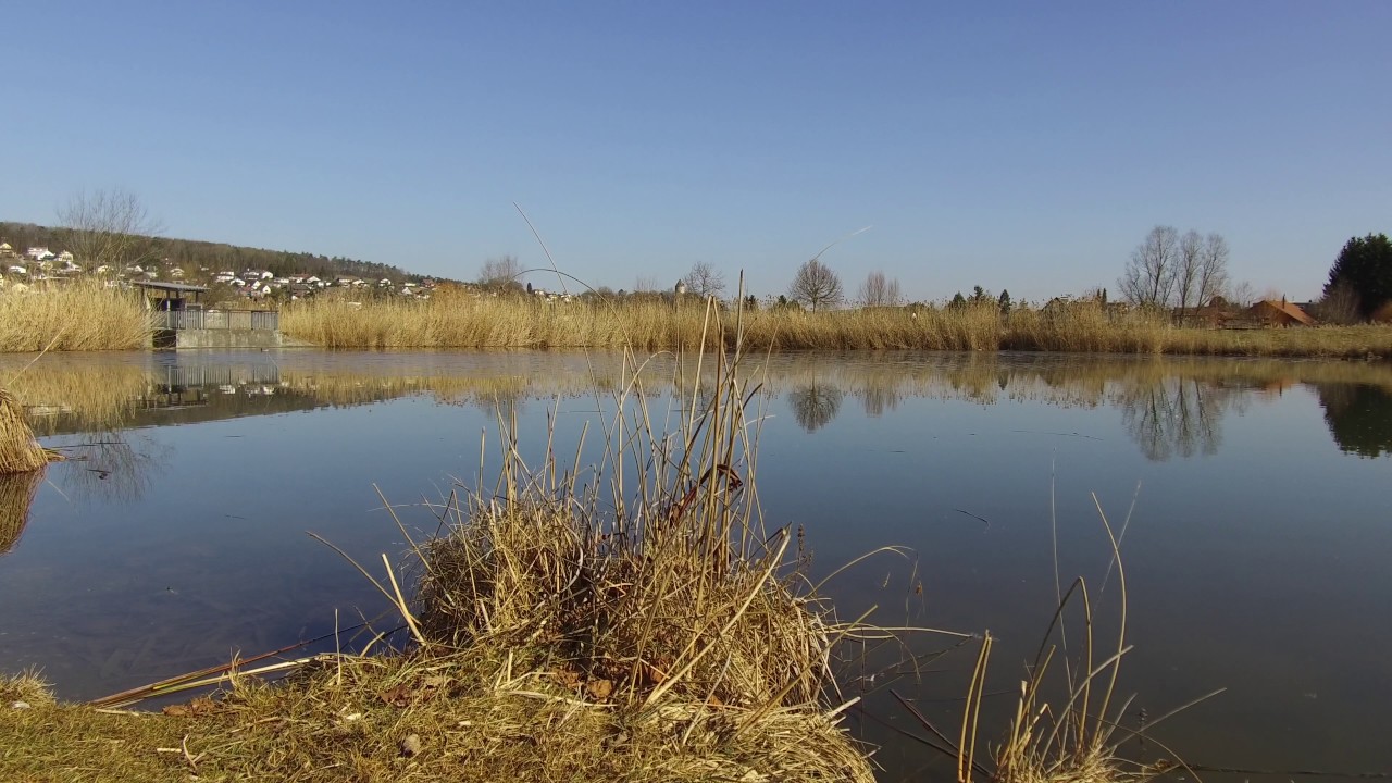 Balade vers l'étang Corbat de Porrentruy Ajoie - Jura