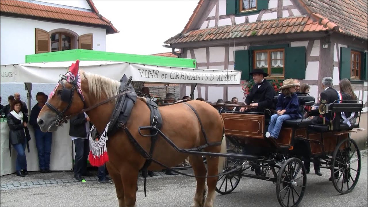 2013 09 FETE DES VENDANGES-CLEEBOURG