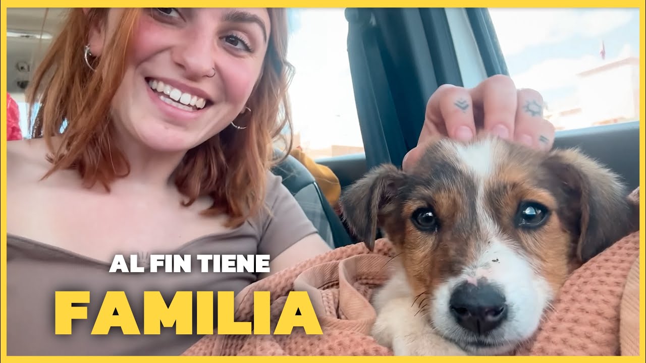 Rescatamos a una perrita en el Sáhara y ahora tiene una familia en España 🐶💚