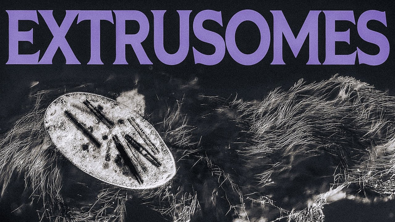 Some Ciliates Are Hiding a Secret Weapon
