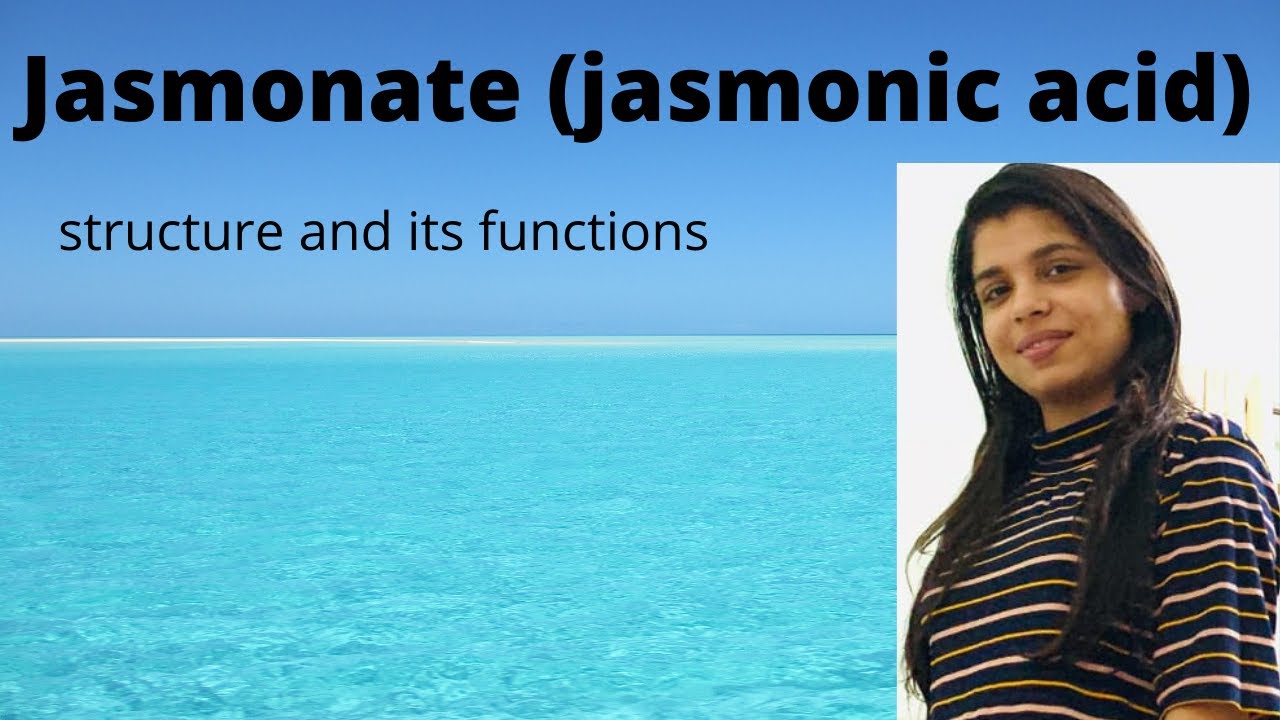 jasmonate (jasmonic acid)